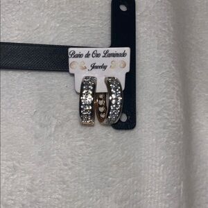 Elegant Gold and Silver Hoop Earrings